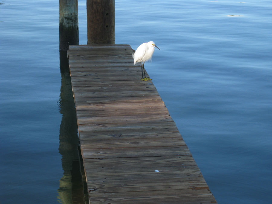 I paused for reflection at the end of the dock.