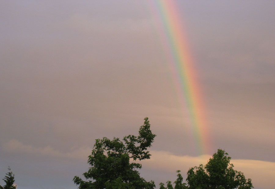 everyday-rainbow
