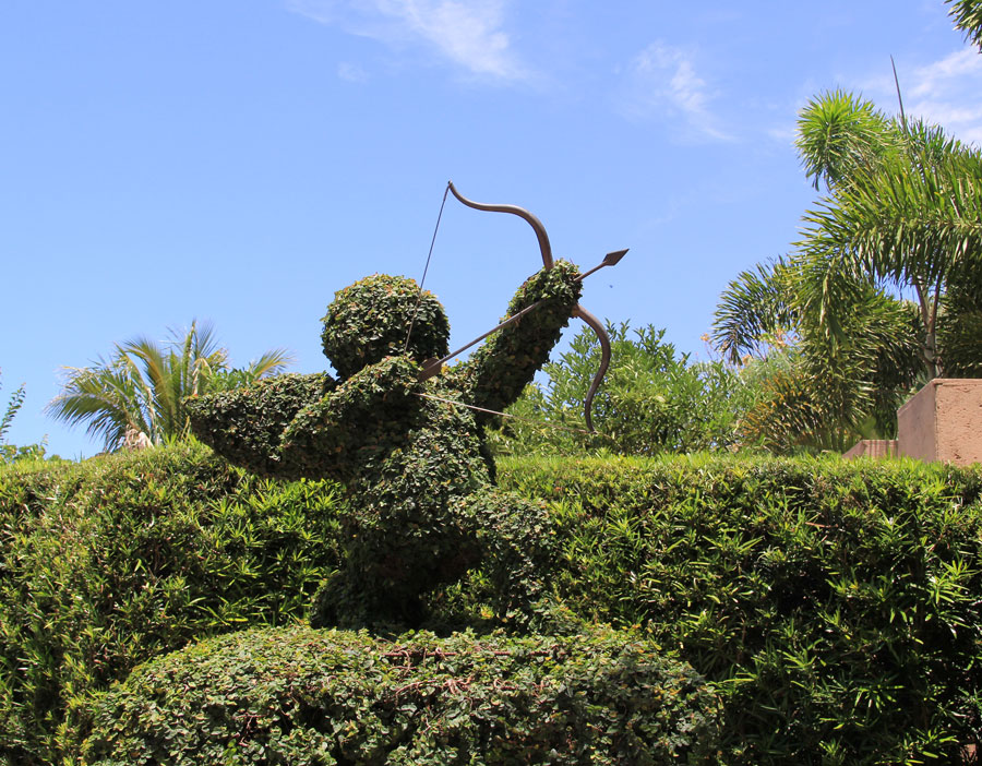 Cupid's aim is true at Florida Botanical Gardens in Largo.