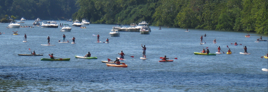 Rush hour on the river.