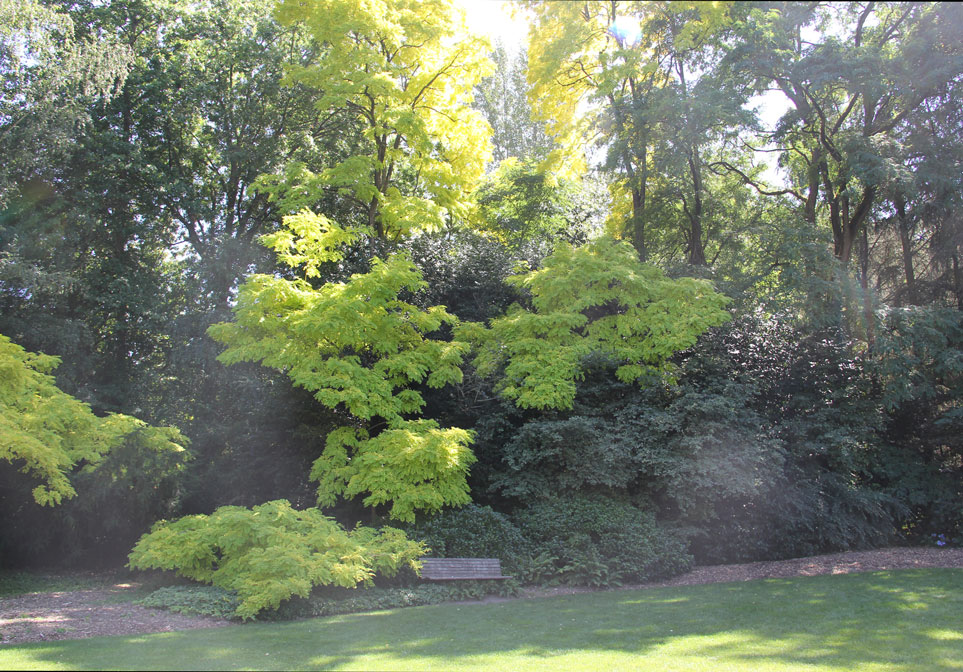 Serenity goes with the territory at The Kubota Gardens.